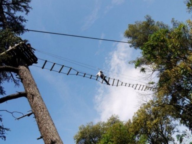  Curso de aventura en los árboles en Marsella 